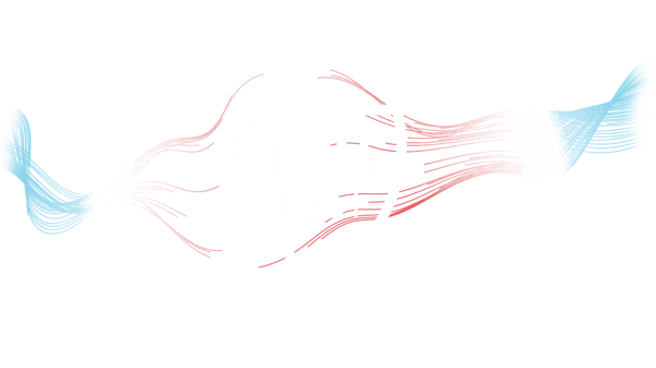 Logo-pentest